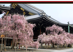 写真：仏光寺