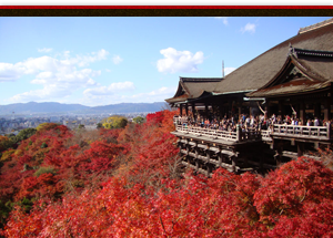 写真：清水寺