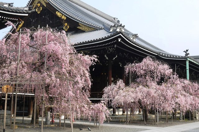 写真：仏光寺